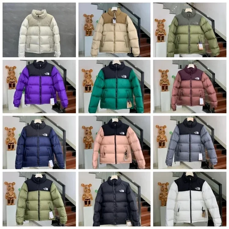The North Face high quality down jacket Clothing