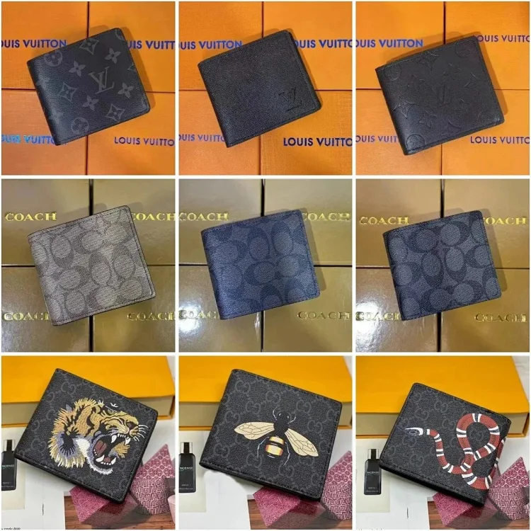 lv Louis Vuitton wallet Bag