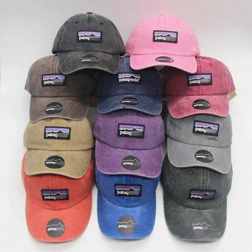 Patagonia P-6 Label Trad Cap 13 styles Accessory