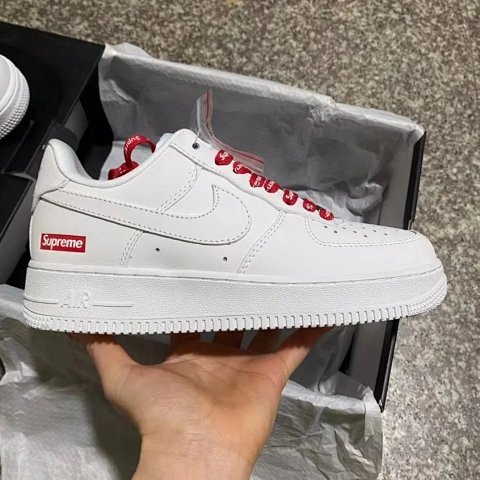 QC & reference photos 3